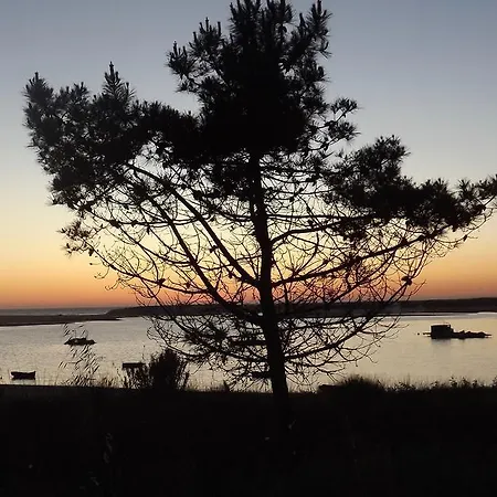 Aiola Duplex Eco-friendly 塞辛布拉