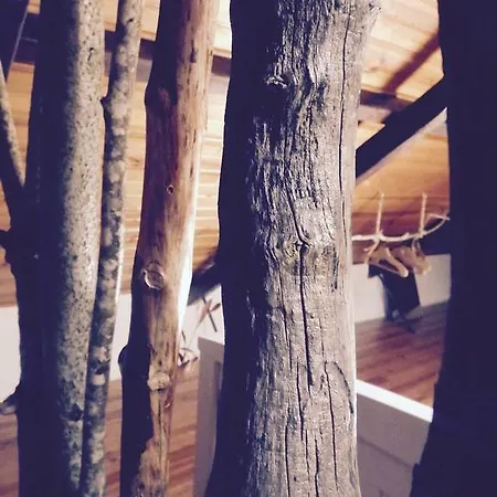 Aiola Duplex Eco-friendly Sesimbra