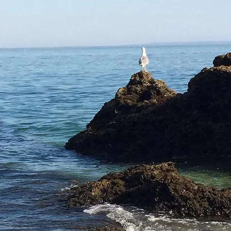 Aiola Duplex Eco-friendly Apartamento