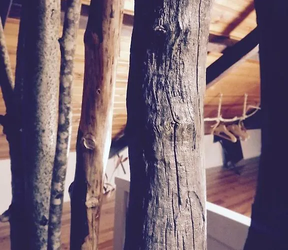 Aiola Duplex Eco-friendly Сесимбра