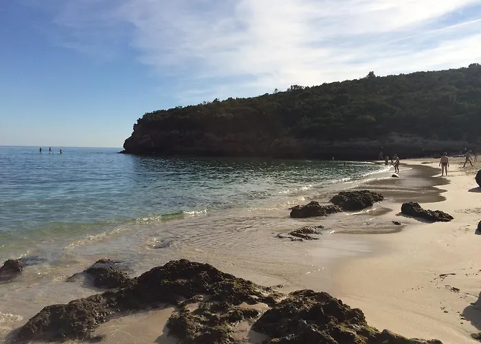 Aiola Duplex Eco-friendly Сесимбра