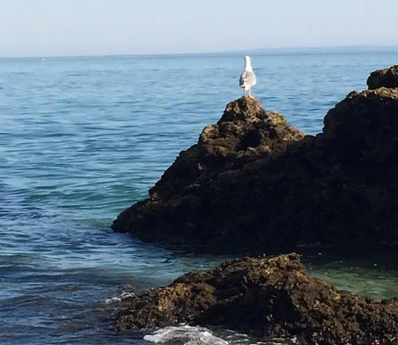 Aiola Duplex Eco-friendly Апартаменты