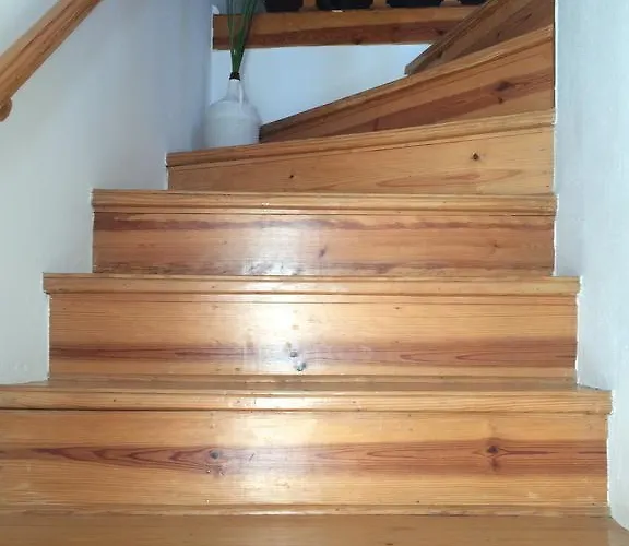 Aiola Duplex Eco-friendly * Сесимбра