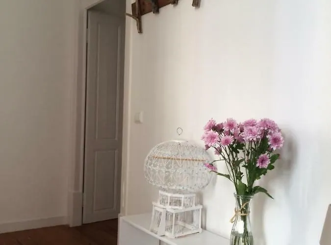 Aiola Duplex Eco-friendly * Сесимбра